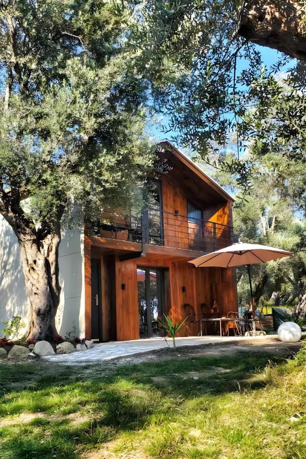 Coratina Cottage Ούλτσιν Εξωτερικό φωτογραφία